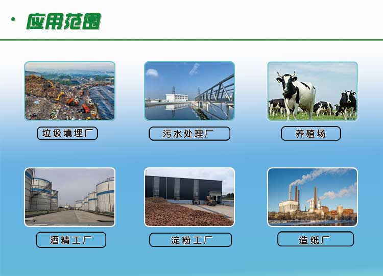 有機（jī）廢水沼氣發電機組