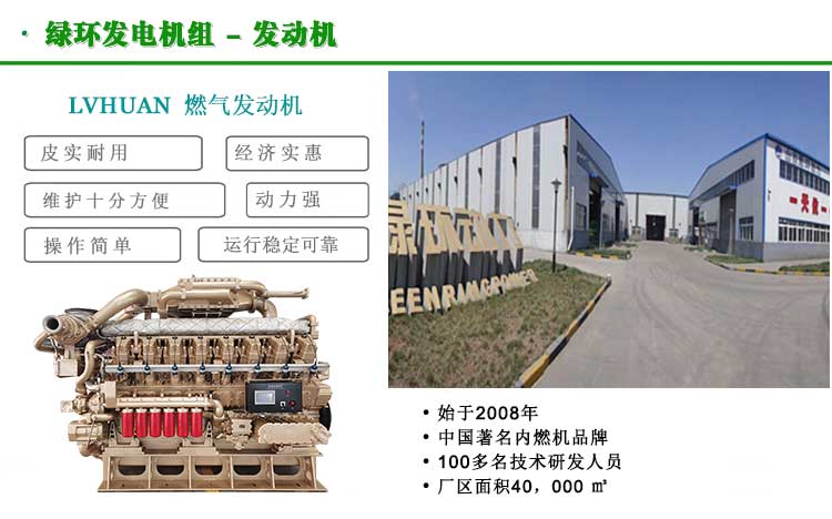 有機廢水沼氣發電機組