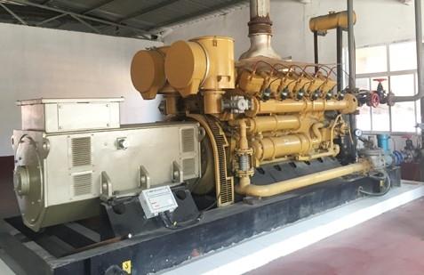 山東東阿沼氣（qì）發電項目