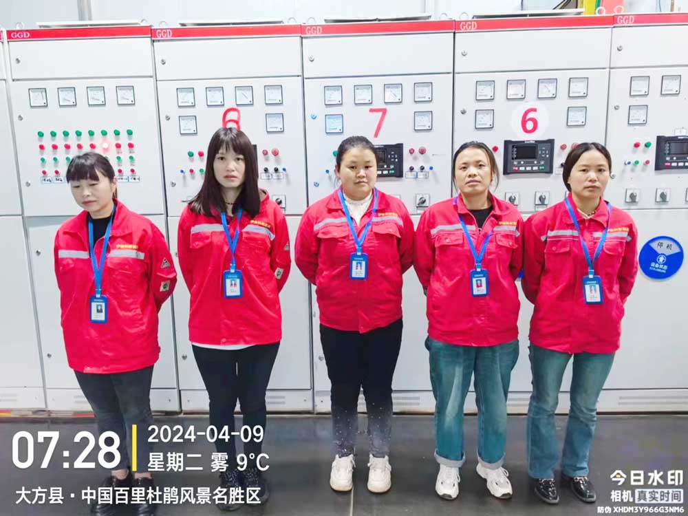 貴（guì）州鵬程瓦斯發電項目